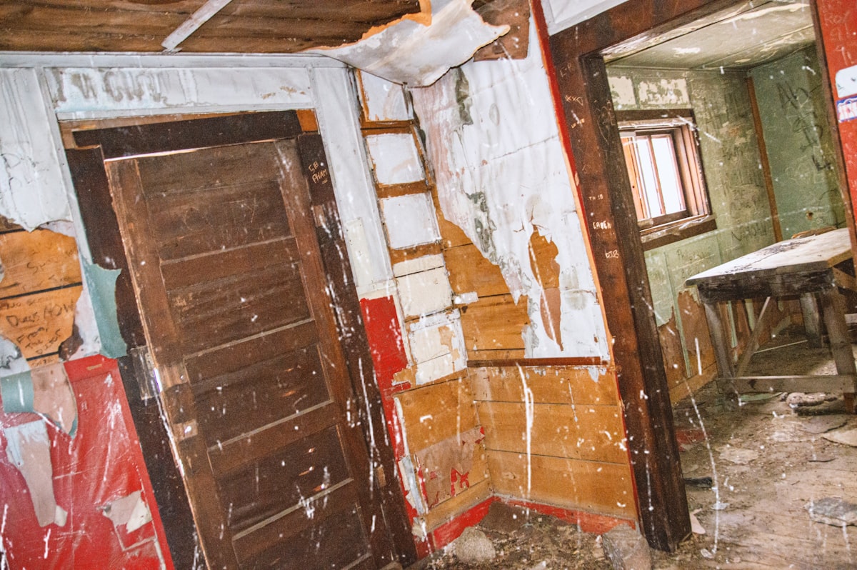 Mold Remediation service in St. Peters, MO