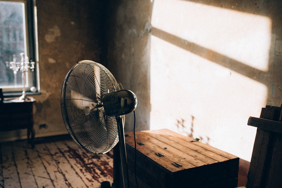 Mold Remediation service in St. Peters, MO