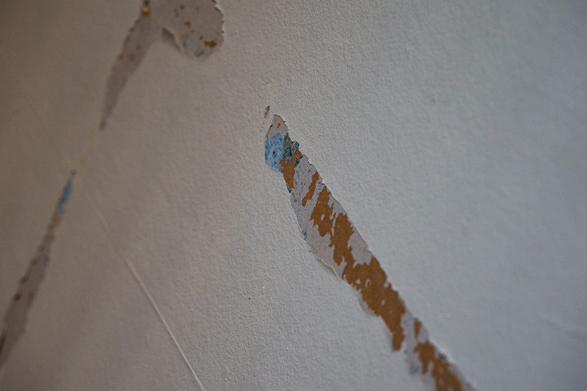 Storm Damage Repair service in St. Peters, MO